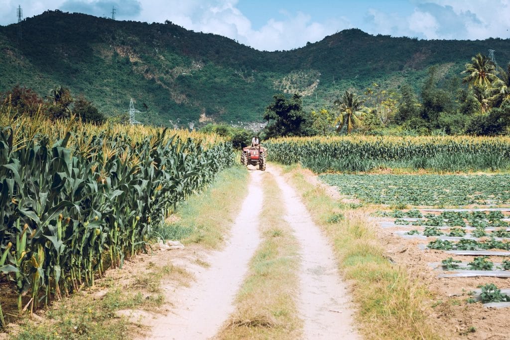 고향사랑 기부제