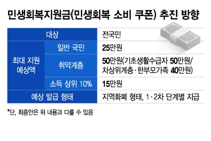 국민지원금